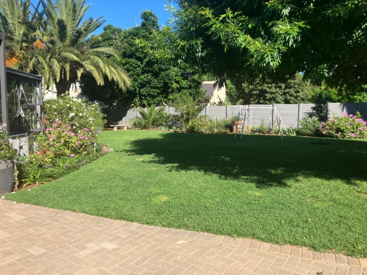 Sunny lawn framed by palms